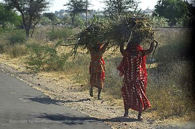 01 PKW-Reise_Kuri-Osiyan-Jodhpur_DSC3556_b_H600